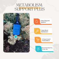 Metabolism Support Plus